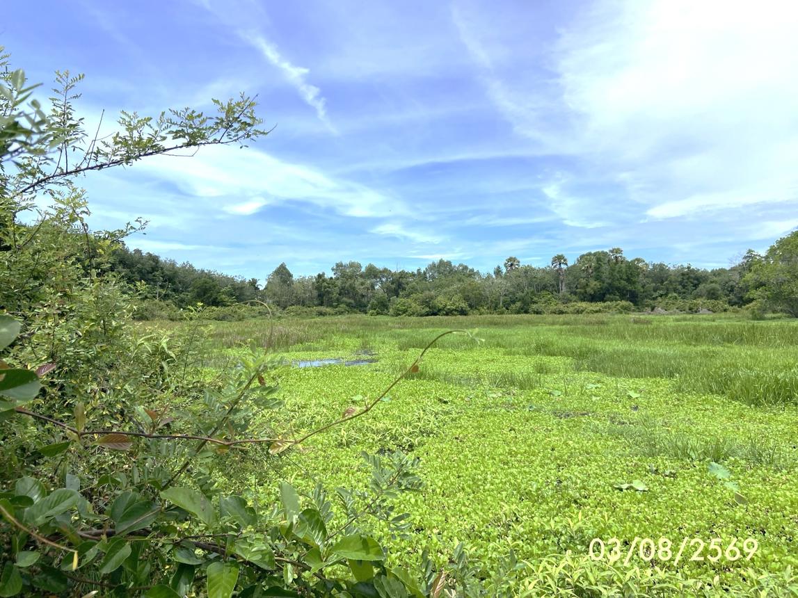 รูป ที่ดินว่างเปล่า 99.9 ตร.วา เมืองสงขลา สงขลา 450,000 - รูปที่ 18/23