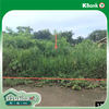 listing thumbnail image 12