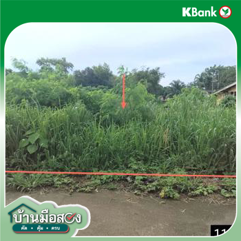 picture LAND 124.6 Sq.w. Muang Chumphon Chumphon for 873,000 - 13/15