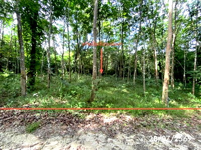 ที่ดิน สงขลา : ที่ดินว่างเปล่า 285 ตร.วา เมืองสงขลา สงขลา 1.1M