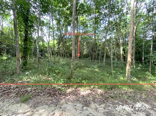 รูป ที่ดินว่างเปล่า 285 ตร.วา เมืองสงขลา สงขลา 1.1M - รูปที่ 1/27