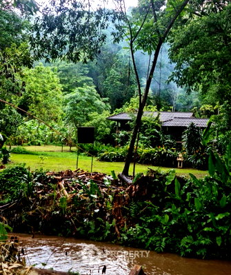 Land for sale Mae Taeng Chiang Mai : Land For Sale In Sop Poeng, Mae Taeng, Chiang Mai (ID 3354411)