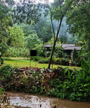 Land For Sale In Sop Poeng, Mae Taeng, Chiang Mai (ID 3354411)