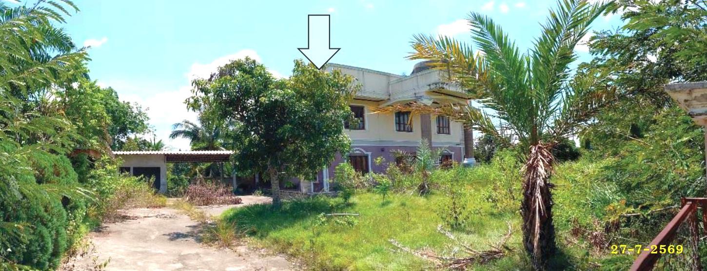 picture HOME 263 Sq.w. Muang Yala Yala for 4M - 7/11