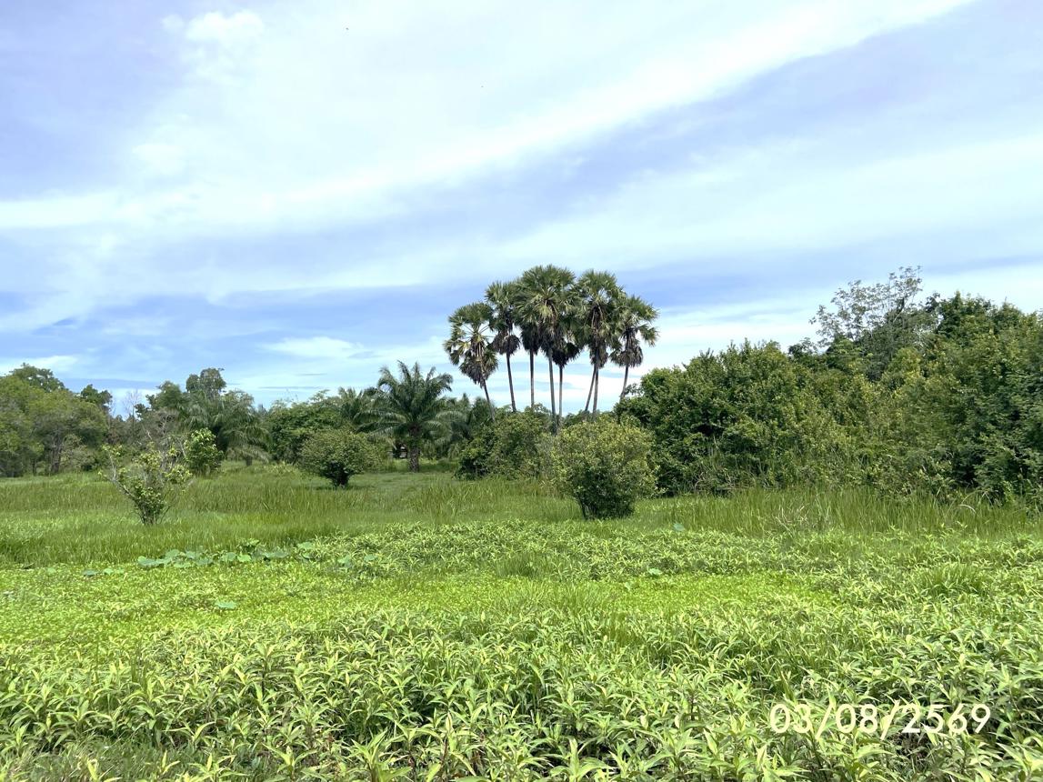 รูป ที่ดินว่างเปล่า 99.9 ตร.วา เมืองสงขลา สงขลา 450,000 - รูปที่ 14/23