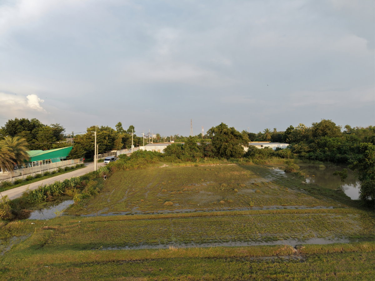 รูป ขายที่ดินแปลงสวย ทำเลดี ใกล้เมือง ใกล้มอเตอร์เวย์ ถนนบ้านบึง-แกลง #LS0056 - รูปที่ 12/12