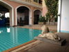 listing thumbnail image 13