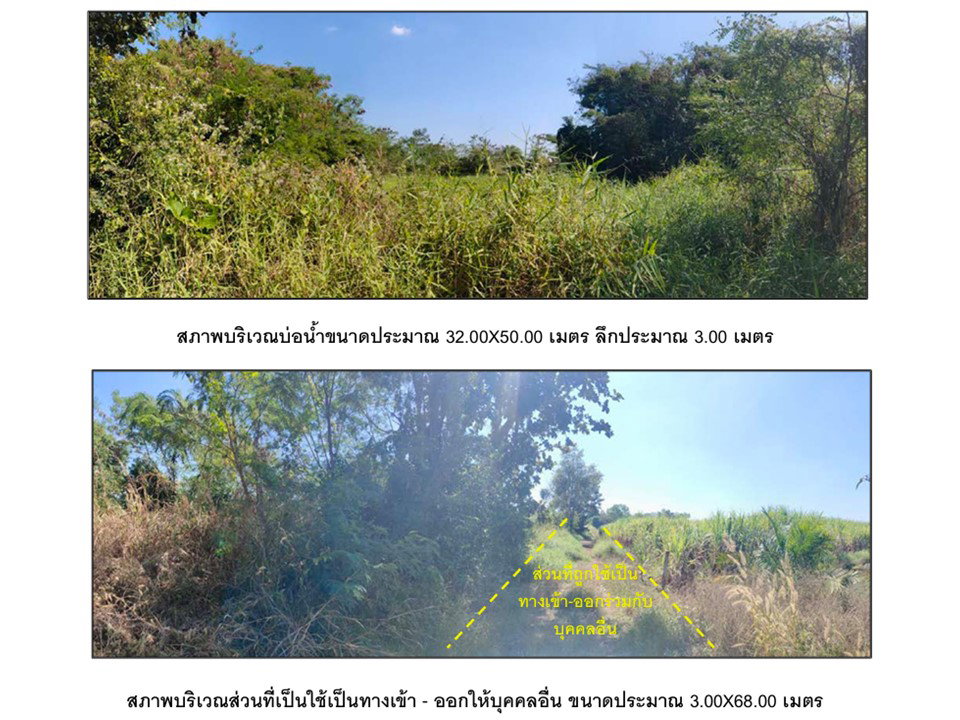 รูป ที่ดิน 13354 ตร.วา หนองไผ่ เพชรบูรณ์ 3.5M - รูปที่ 9/9