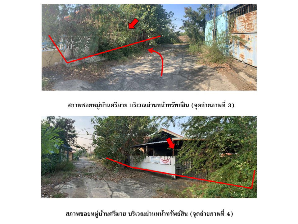 picture LAND 100 Sq.w. Kao Lieo Nakhon Sawan for 1.7M - 3/8