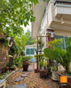 listing thumbnail image 24