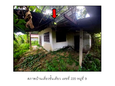 ที่ดิน เมืองอุดรธานี อุดรธานี : ที่ดินพร้อมสิ่งปลูกสร้าง 160.5 ตร.วา เมืองอุดรธานี อุดรธานี 570,000