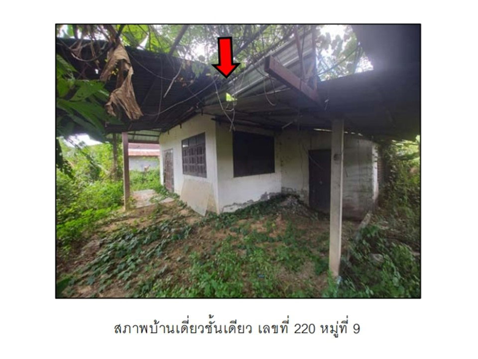 รูป ที่ดินพร้อมสิ่งปลูกสร้าง 160.5 ตร.วา เมืองอุดรธานี อุดรธานี 570,000 - รูปที่ 1/7