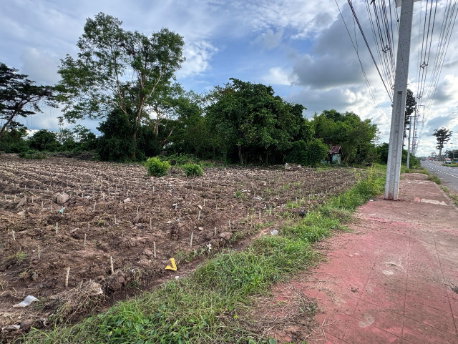 รูป **ให้เช่าที่ดิน 4 ไร่ 2 งาน 49 ตรว. ติดทางหลวงแผ่นดิน ต.น้ำอ้อม อ.กันทรลักษ์ จ.ศรีสะเกษ 30,000/ด. (เช่าบางส่วนได้)** - รูปที่ 6/6