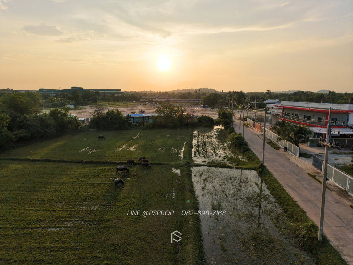 รูป ขายที่ดินแปลงสวย ทำเลดี ใกล้เมือง ใกล้มอเตอร์เวย์ ถนนบ้านบึง-แกลง #LS0056 - รูปที่ 10/12