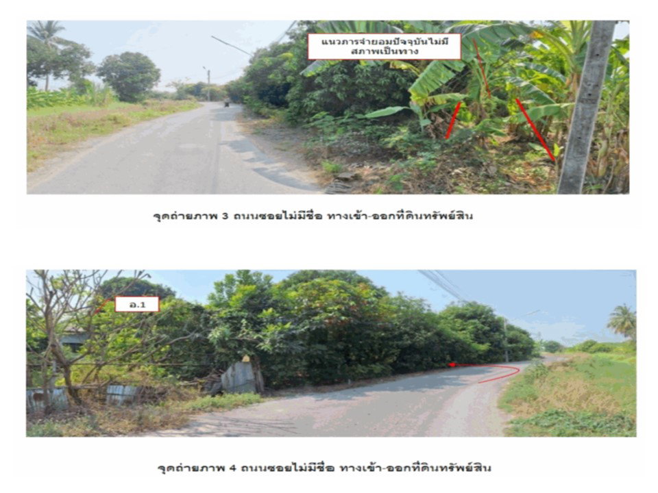 picture LAND 391 Sq.w. Muang Ang Thong Angthong for 869,000 - 3/6