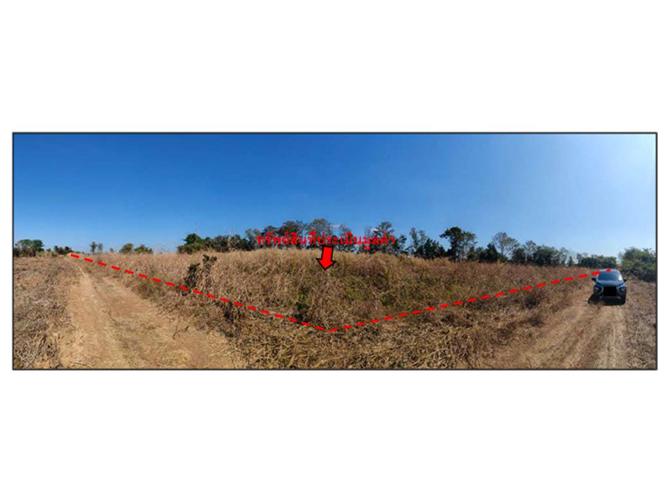 รูป ที่ดิน 13354 ตร.วา หนองไผ่ เพชรบูรณ์ 3.5M - รูปที่ 1/9