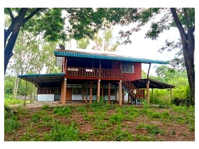 LAND 285.2 Sq.w. Yang Talat Kalasin for 1.8M