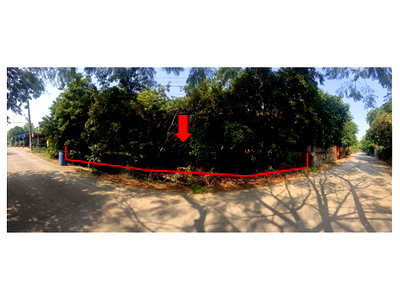 LAND 310 Sq.w. Krok Phra Nakhon Sawan for 713,000