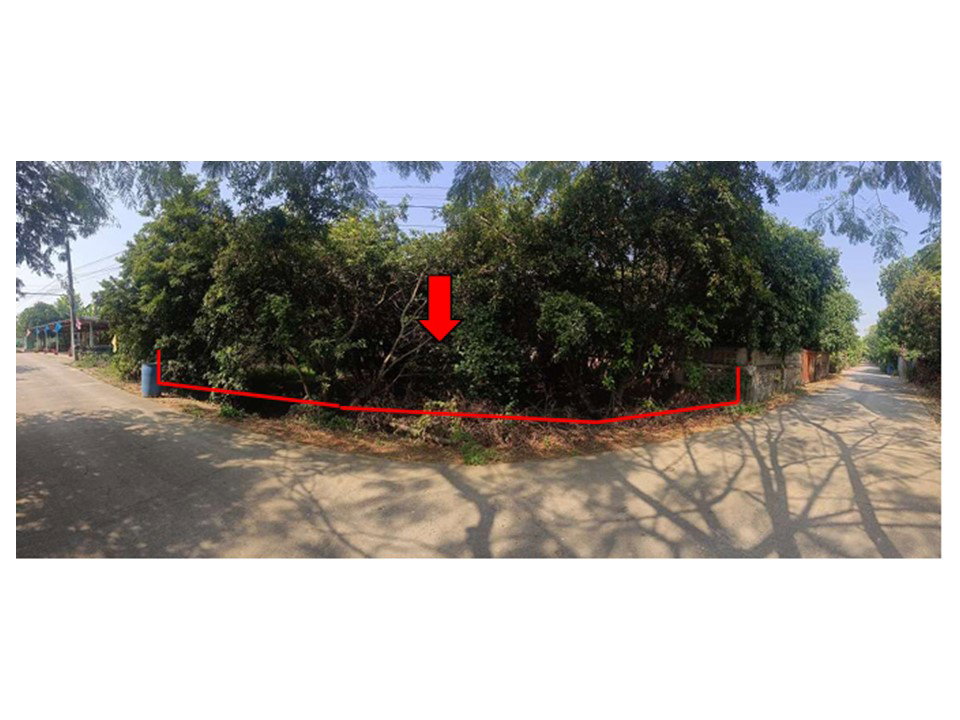 picture LAND 310 Sq.w. Krok Phra Nakhon Sawan for 618,000 - 1/3