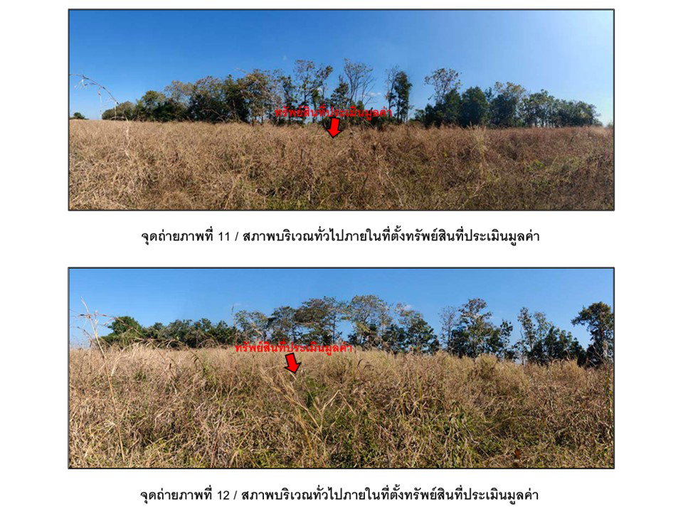 รูป ที่ดิน 13354 ตร.วา หนองไผ่ เพชรบูรณ์ 3.5M - รูปที่ 7/9