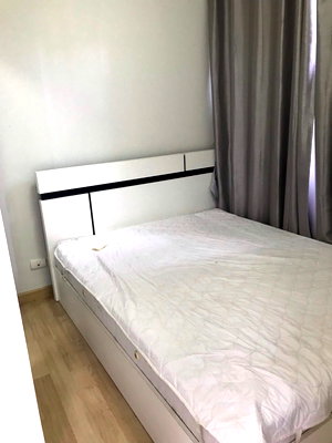 คอนโดให้เช่า : Unit Available at Pano Ville Ratchada 19 Multiple units available—prices negotiable!
