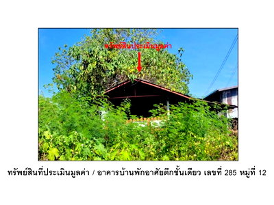 บ้านเดี่ยว เพชรบูรณ์ : ที่ดินพร้อมสิ่งปลูกสร้าง 100 ตร.วา วิเชียรบุรี เพชรบูรณ์ 550,000