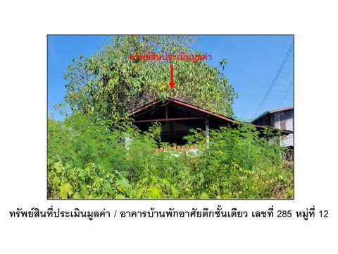 ที่ดินพร้อมสิ่งปลูกสร้าง 100 ตร.วา วิเชียรบุรี เพชรบูรณ์ 550,000