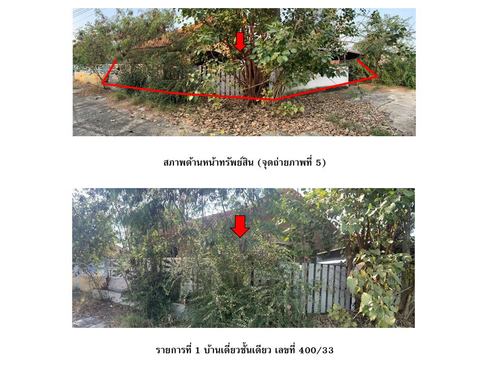 picture LAND 100 Sq.w. Kao Lieo Nakhon Sawan for 1.7M - 4/8