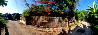 Land for sale Wat Bot Phitsanulok : LAND 129.6 Sq.w. Wat Bot Phitsanulok for 1.8M