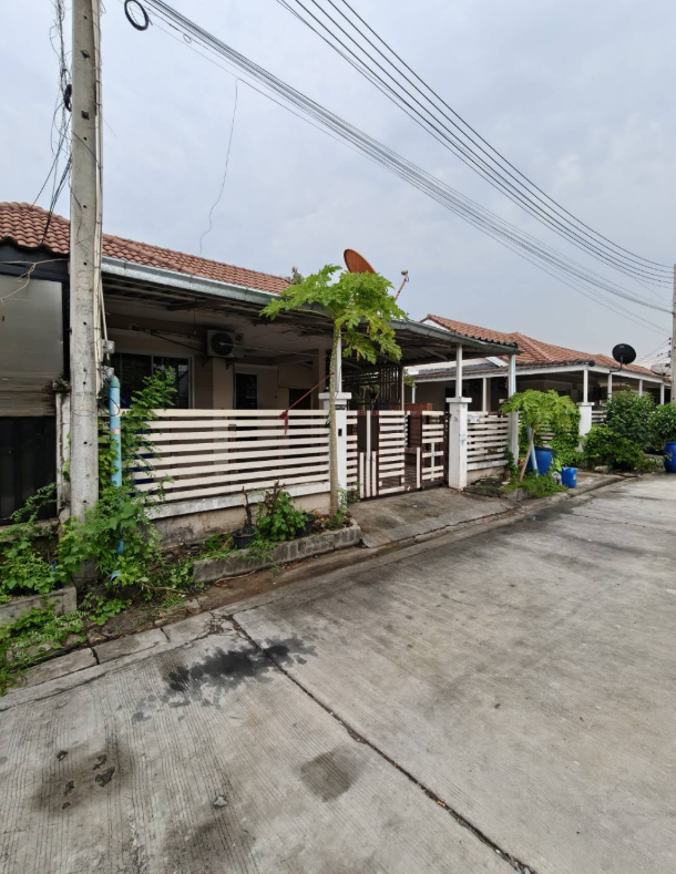 รูป ทาวน์เฮ้าส์ 28 ตร.วา โครงการ ทรัพย์รุ่งเรือง 2 (อมตะ-พานทอง) ชลบุรี พานทอง ชลบุรี 1.8M - รูปที่ 13/14