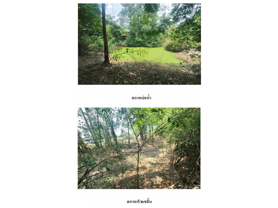 รูป ที่ดินพร้อมสิ่งปลูกสร้าง 3200 ตร.วา ทัพทัน อุทัยธานี 9.9M - รูปที่ 6/6
