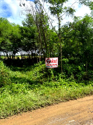 Land for sale Khlong Luang Pathumthani : 500 sq.wah Land for Sale in Khlong Hok, Khlong Luang – THB 4.25M Negotiable