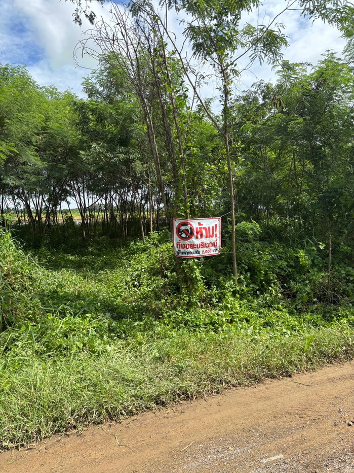 รูป ขายที่ดินคลองหก คลองหลวง 500 ตร.วา แปลงสี่เหลี่ยม ราคาพิเศษ 8,500 บ./ตร.วา ต่อรองได้ - รูปที่ 1/5