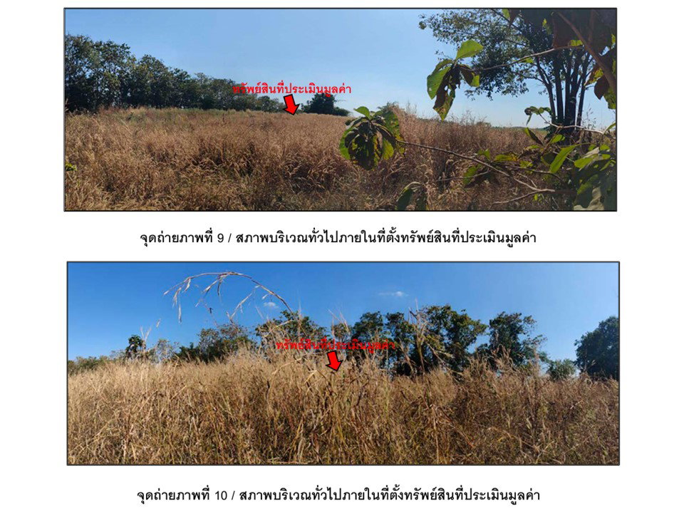 รูป ที่ดิน 13354 ตร.วา หนองไผ่ เพชรบูรณ์ 3.5M - รูปที่ 6/9