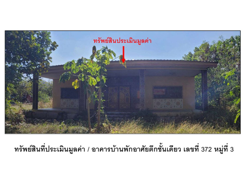 รูป ที่ดินพร้อมสิ่งปลูกสร้าง 400 ตร.วา บึงสามพัน เพชรบูรณ์ 1.4M - รูปที่ 1/7