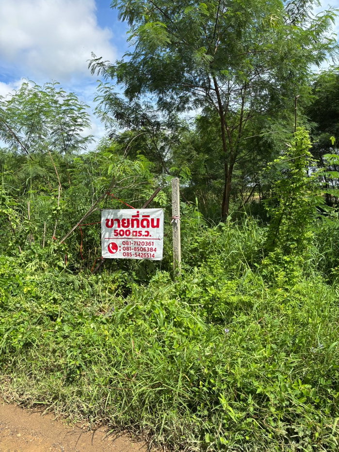 รูป ขายที่ดินคลองหก คลองหลวง 500 ตร.วา แปลงสี่เหลี่ยม ราคาพิเศษ 8,500 บ./ตร.วา ต่อรองได้ - รูปที่ 4/5