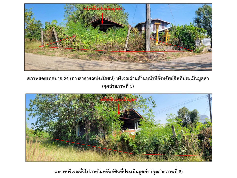 รูป ที่ดินพร้อมสิ่งปลูกสร้าง 100 ตร.วา วิเชียรบุรี เพชรบูรณ์ 550,000 - รูปที่ 4/5