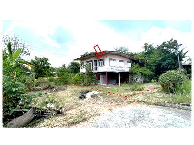 Houses for sale Kosum Phisai Maha Sarakham : HOME 133.4 Sq.w. Kosum Phisai Maha Sarakham for 798,000