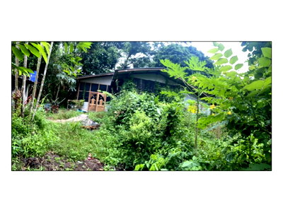 HOME 266 Sq.w. Muang Udon Thani Udon Thani for 283,000