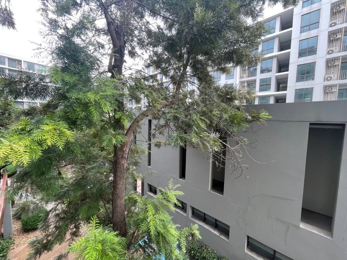 picture For Rent Casa Condo Sriracha Move-in Ready Condo in a Prime Location  - 6/23