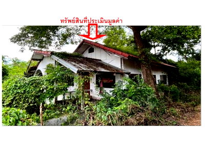Houses for sale Nong Bua Lam Phu : HOME 51 Sq.w. Si Bun Ruang Nong Bua Lam Phu for 310,000