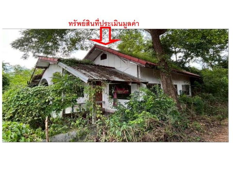ที่ดินพร้อมสิ่งปลูกสร้าง 51 ตร.วา ศรีบุญเรือง หนองบัวลำภู 310,000