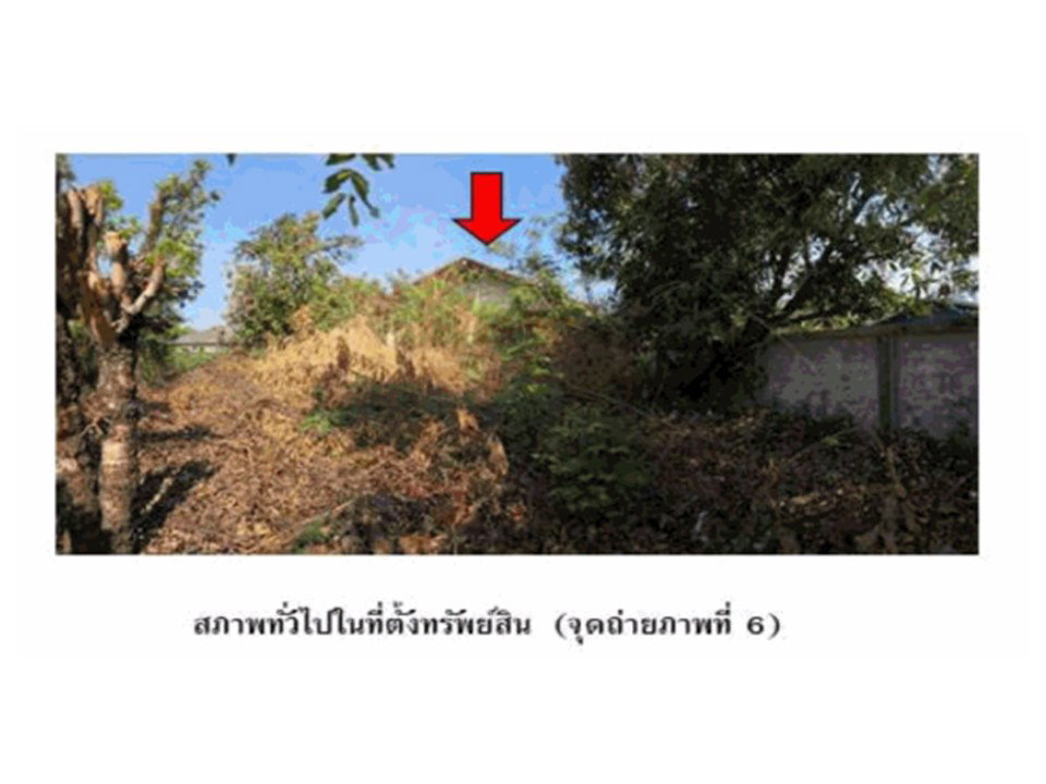 รูป ที่ดินพร้อมสิ่งปลูกสร้าง 306 ตร.วา วารินชำราบ อุบลราชธานี 1.9M - รูปที่ 7/8
