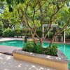 listing thumbnail image 39
