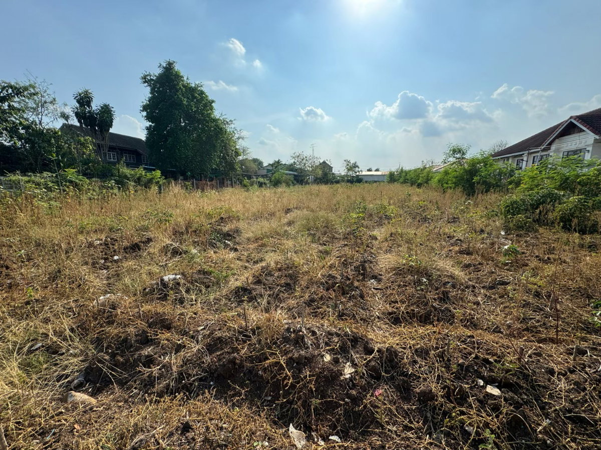 รูป **ให้เช่าที่ดิน 1 ไร่ 1 งาน 45 ตรว. ติดทางสาธารณะ ต.หนองหญ้าลาด อ.กันทรลักษ์ จ.ศรีสะเกษ 10,000/ด. (เช่าบางส่วนได้)** - รูปที่ 3/12