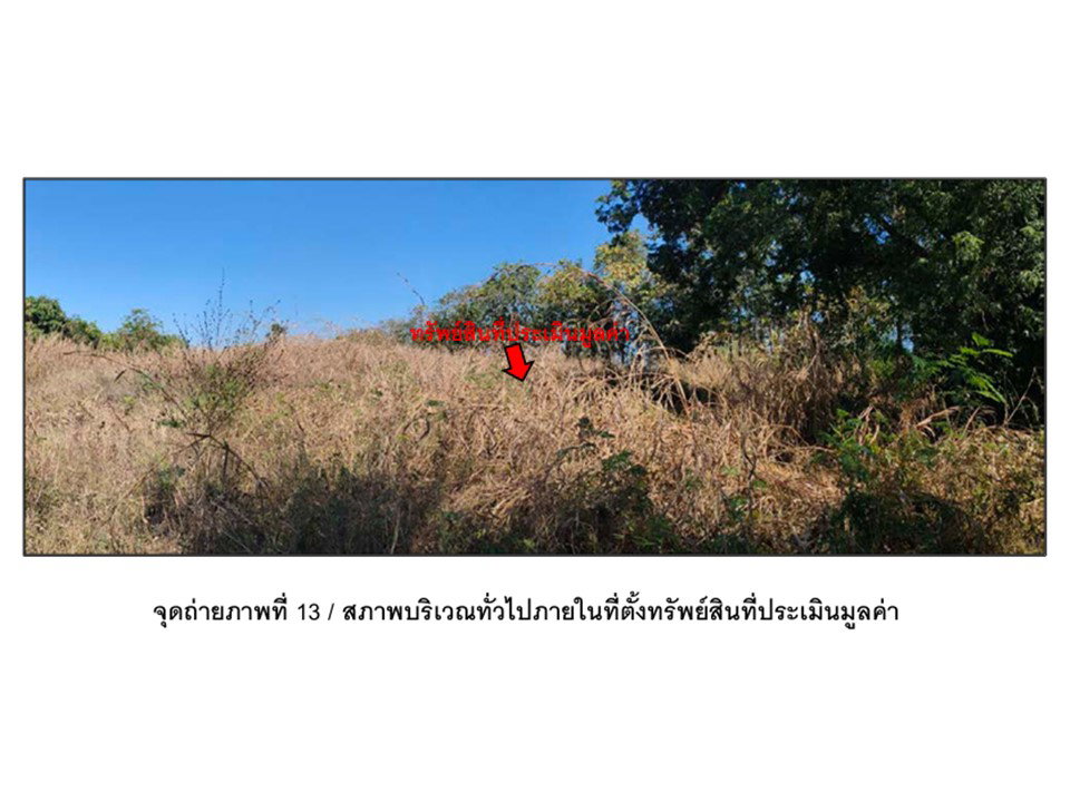 รูป ที่ดิน 13354 ตร.วา หนองไผ่ เพชรบูรณ์ 3.5M - รูปที่ 8/9