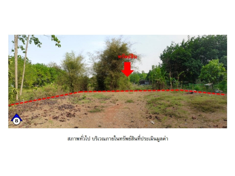 รูป ที่ดินพร้อมสิ่งปลูกสร้าง 240 ตร.วา เซกา บึงกาฬ 602,000 - รูปที่ 5/10