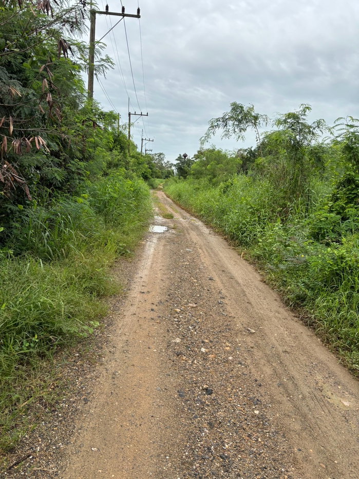 รูป ขายที่ดินคลองหก คลองหลวง 500 ตร.วา แปลงสี่เหลี่ยม ราคาพิเศษ 8,500 บ./ตร.วา ต่อรองได้ - รูปที่ 3/5