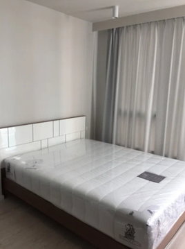 For Rent: Condo U Kaset - Nawamin – 1 Bedroom, 30 sq.m., Building A, 5th Floor – Only 9,000 Baht