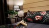listing thumbnail image 2
